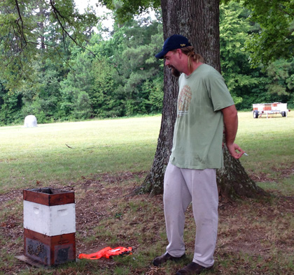 Hive on Display
